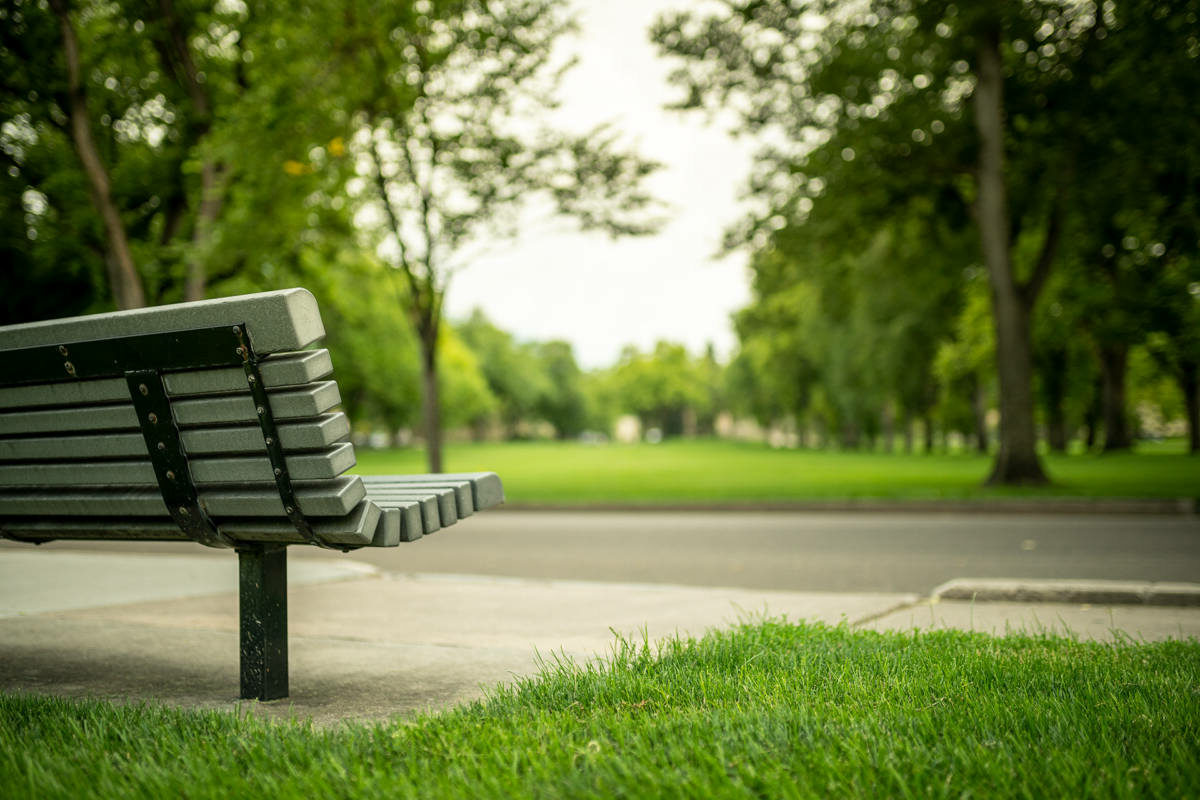 Bench on Colorado State University campus