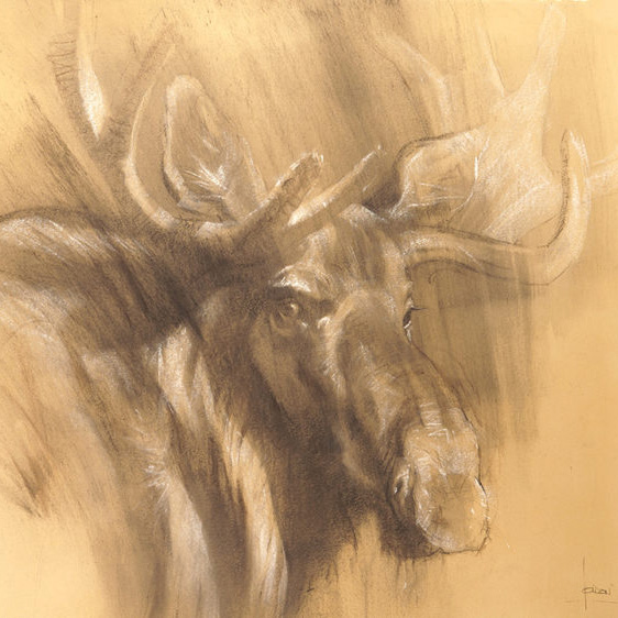 “Charcoal Moose” painting by Anne London, based on a photo by Tim O’Hara.