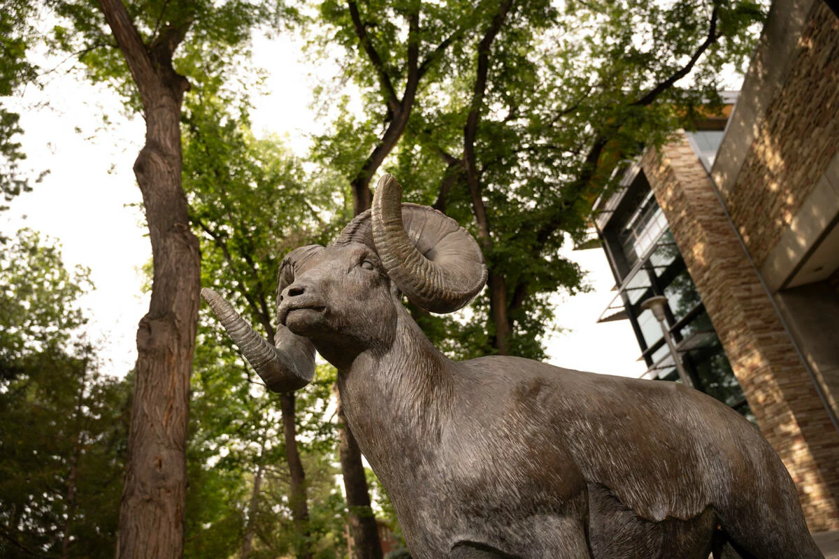 campus-ram-statue