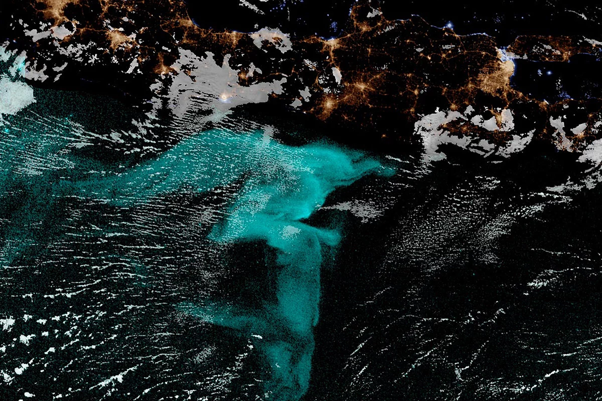 Color-enhanced satellite image of the milky seas