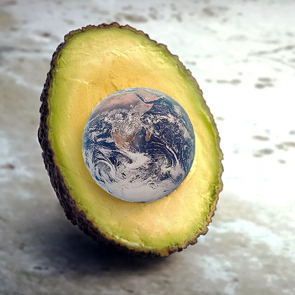 Avocado with seed replaced by a photo of Earth from space